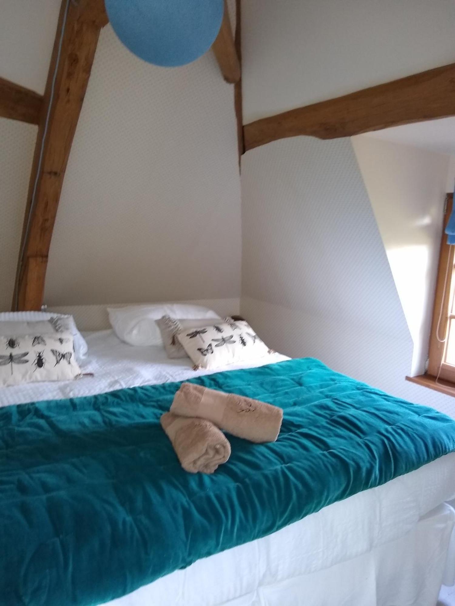 Domaine De La Vaudouriere Villa Lunay Bilik gambar