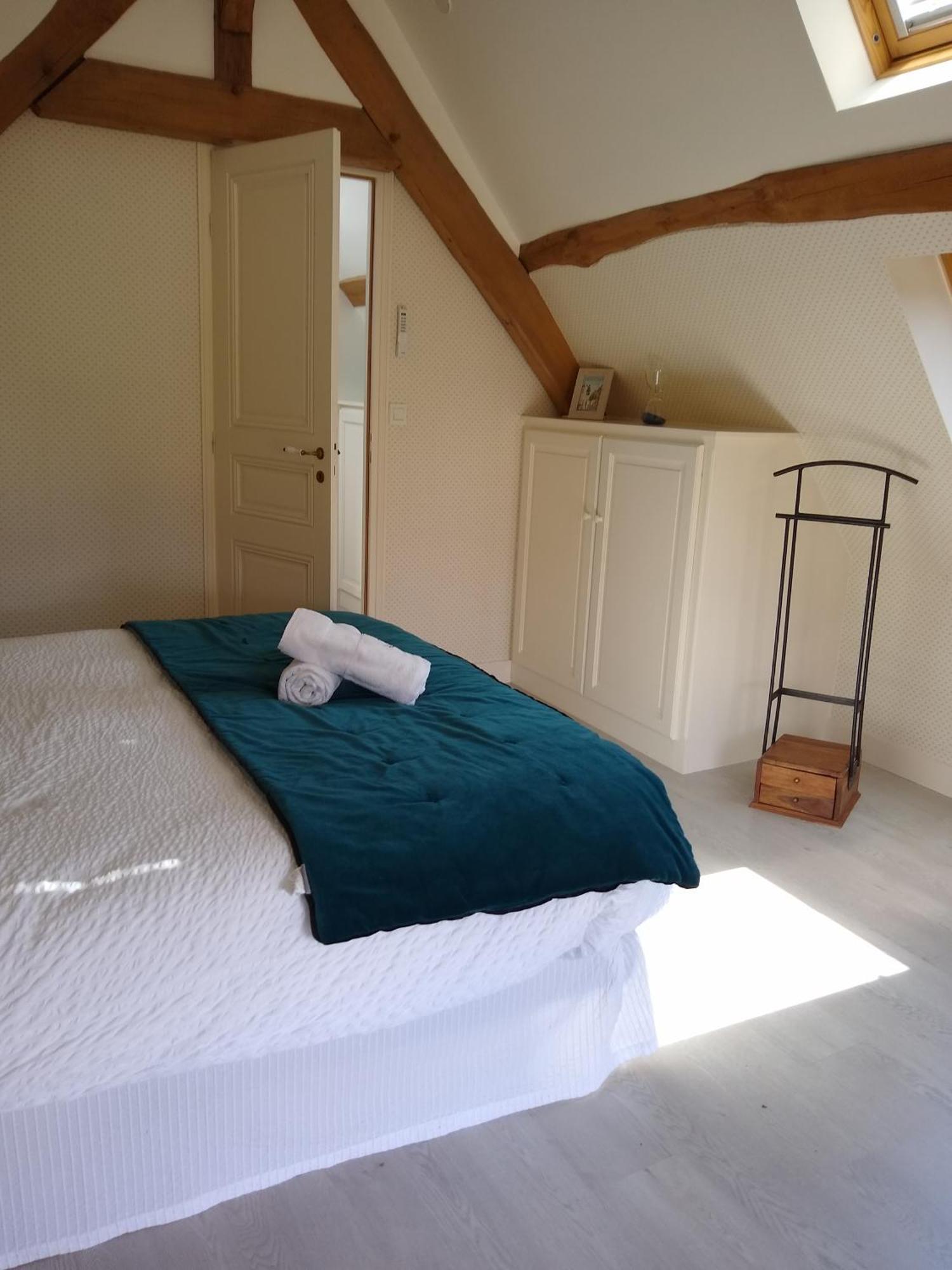 Domaine De La Vaudouriere Villa Lunay Bilik gambar