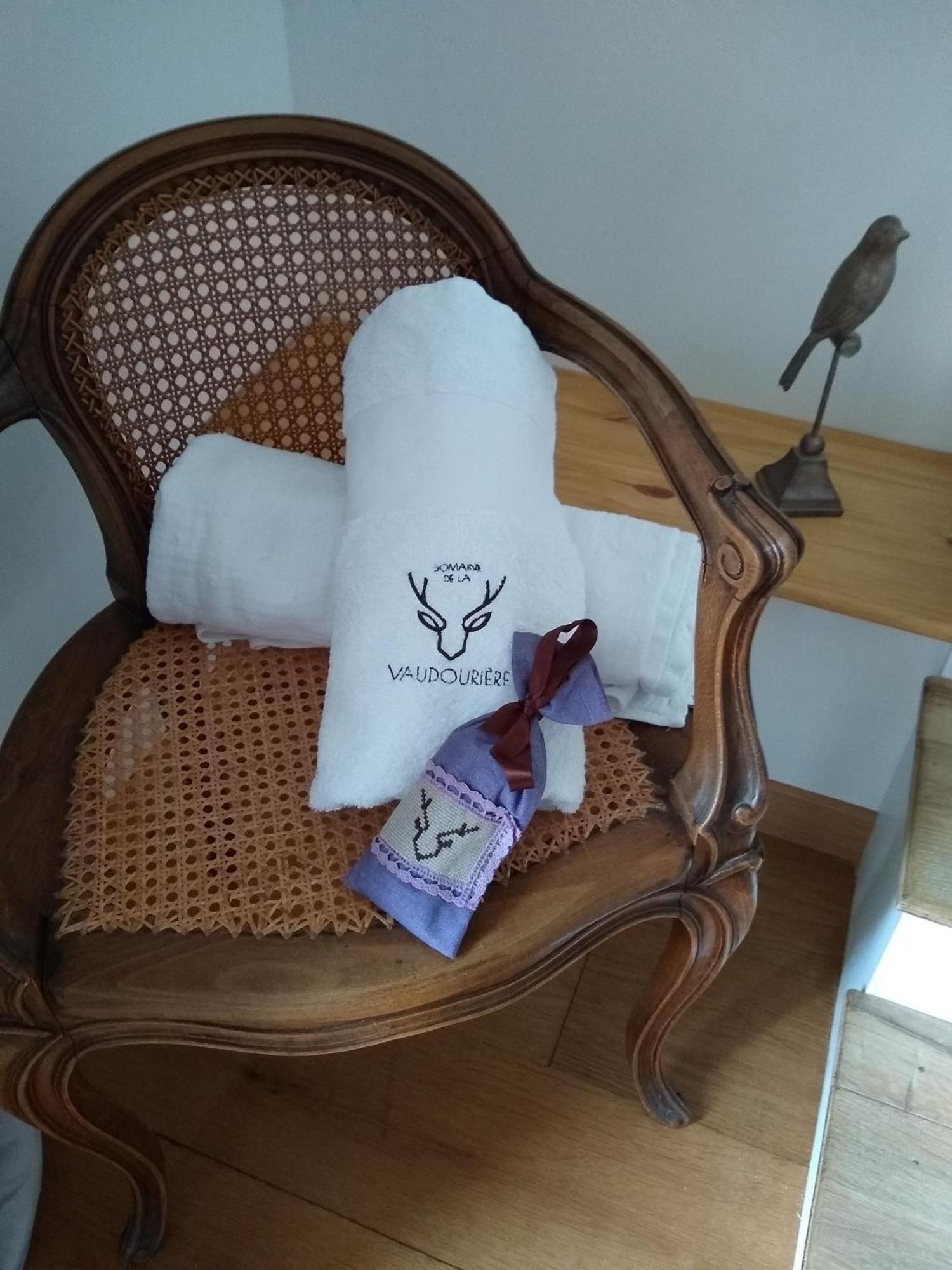 Domaine De La Vaudouriere Villa Lunay Bilik gambar